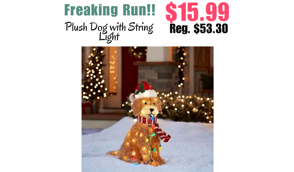 Plush Dog with String Light Only $15.99 Shipped on Amazon (Regularly $53.30)