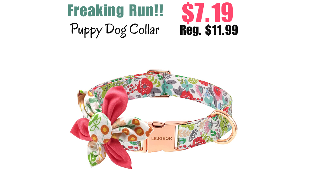 Puppy Dog Collar Only $7.19 Shipped on Amazon (Regularly $11.99)