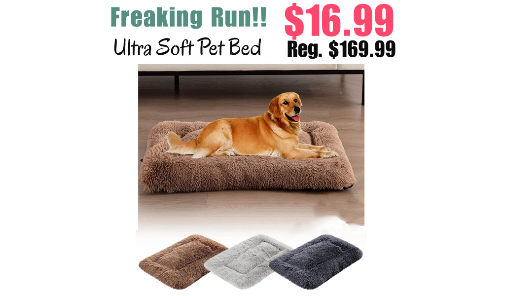 Ultra Soft Pet Bed Only $16.99 Shipped on Amazon (Regularly $169.99)