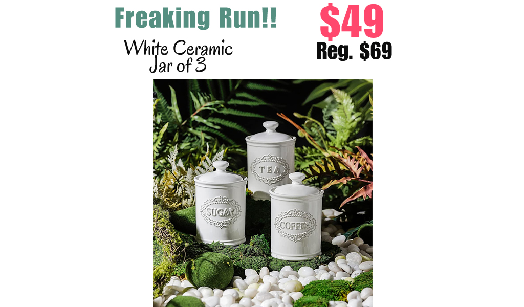 White Ceramic Jar of 3 Only $49 Shipped on Amazon (Regularly $69)