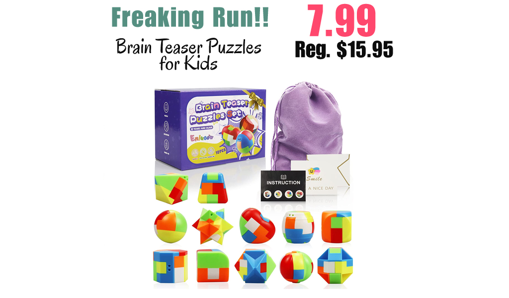 Brain Teaser Puzzles for Kids Only $7.99 Shipped on Amazon (Regularly $15.95)