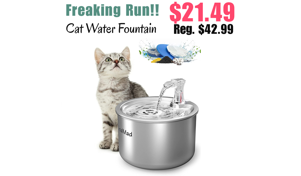 Cat Water Fountain Only $21.49 Shipped on Amazon (Regularly $42.99)