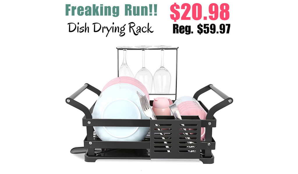 Dish Drying Rack Only $20.98 Shipped on Amazon (Regularly $59.97)