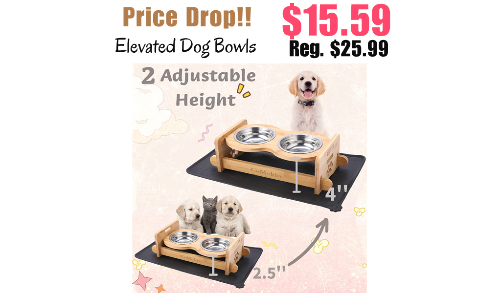 Elevated Dog Bowls Only $15.59 Shipped on Amazon (Regularly $25.99)