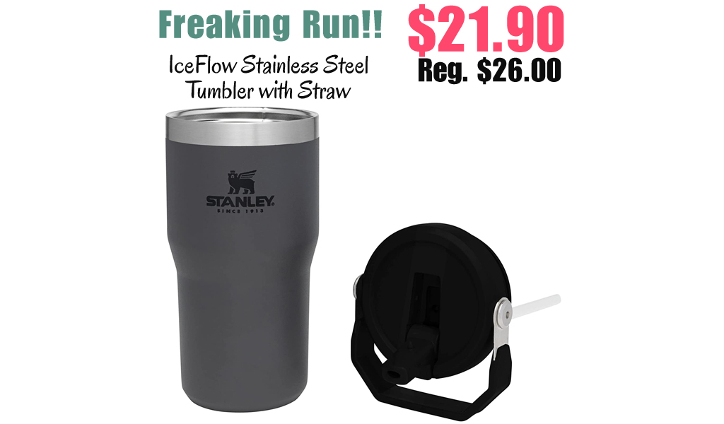 IceFlow Stainless Steel Tumbler with Straw Only $21.90 Shipped on Amazon (Regularly $26.00)