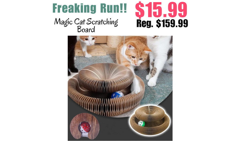 Magic Cat Scratching Board Only $15.99 Shipped on Amazon (Regularly $159.99)