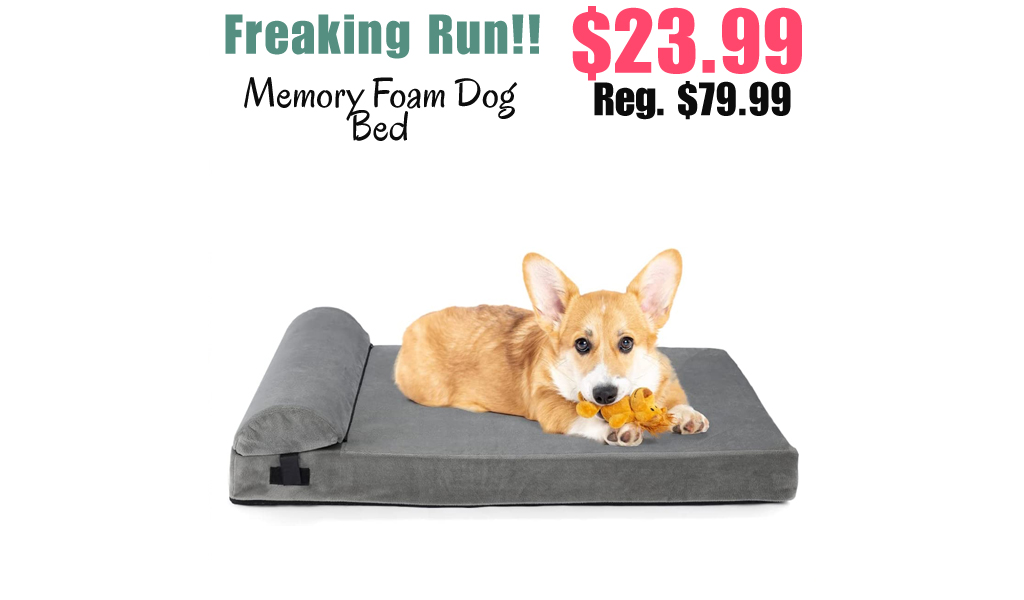 Memory Foam Dog Bed Only $23.99 Shipped on Amazon (Regularly $79.99)