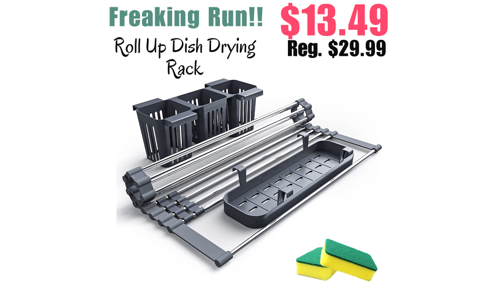 Roll Up Dish Drying Rack Only $13.49 Shipped on Amazon (Regularly $29.99)