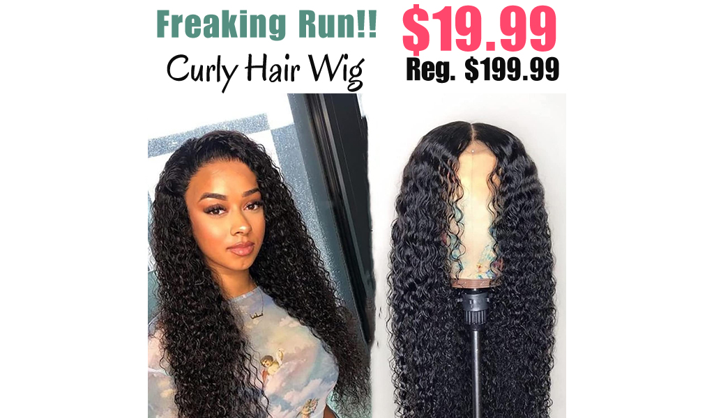 Curly Hair Wig Only $19.99 Shipped on Amazon (Regularly $199.99)