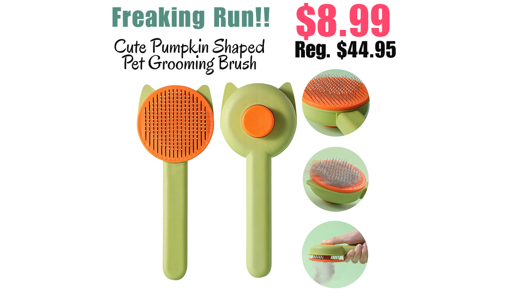 Cute Pumpkin Shaped Pet Grooming Brush Only $8.99 Shipped on Amazon (Regularly $44.95)