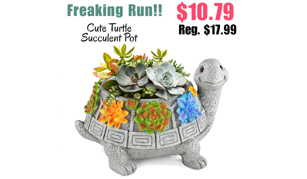 Cute Turtle Succulent Pot Only $10.79 Shipped on Amazon (Regularly $17.99)