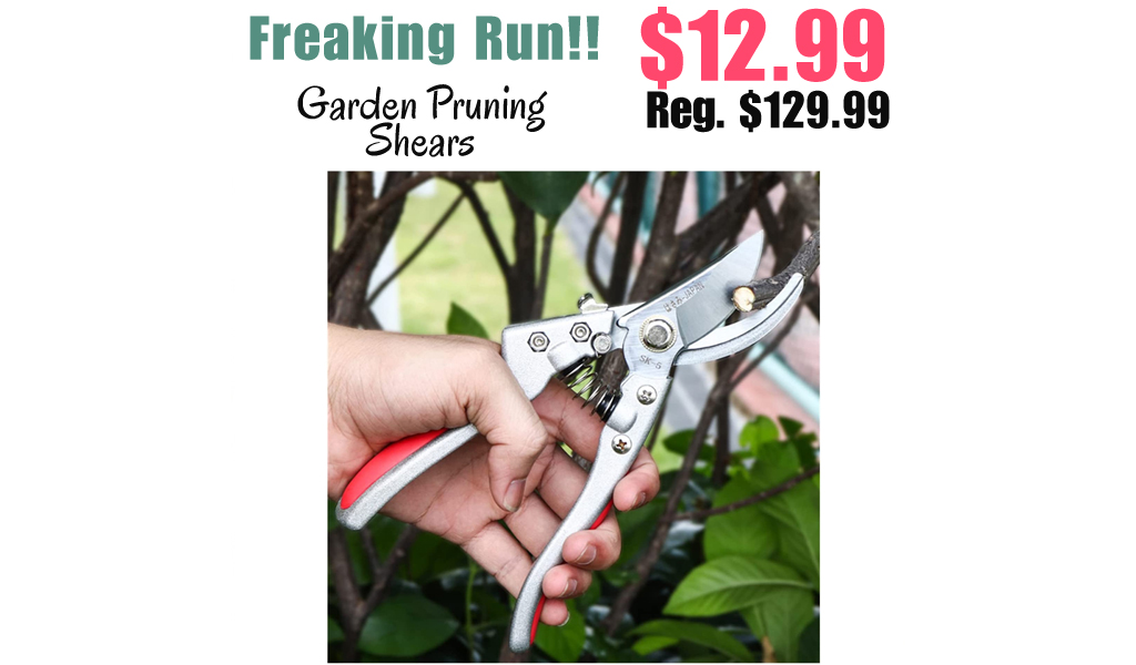 Garden Pruning Shears Only $12.99 Shipped on Amazon (Regularly $129.99)