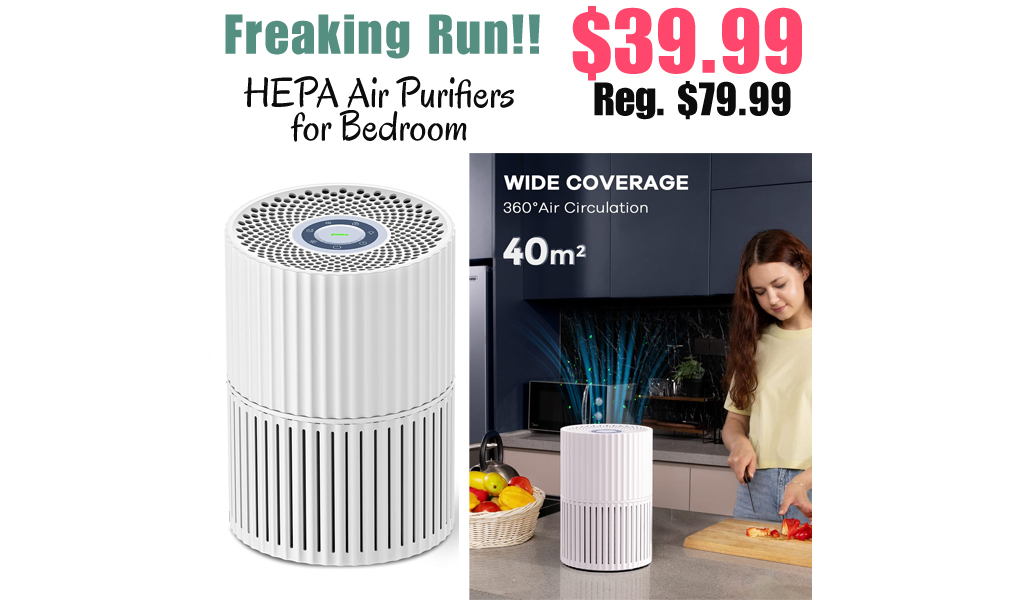 HEPA Air Purifiers for Bedroom Only $39.99 Shipped on Amazon (Regularly $79.99)