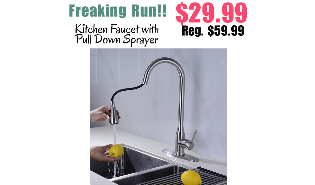 Kitchen Faucet with Pull Down Sprayer Only $29.99 Shipped on Amazon (Regularly $59.99)
