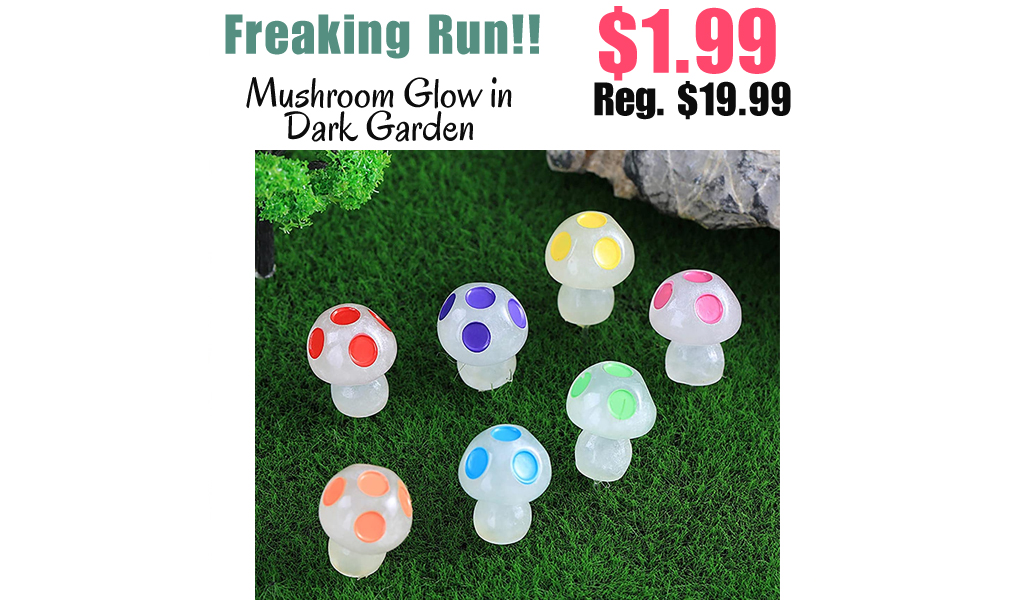 Mushroom Glow in Dark Garden Only $1.99 Shipped on Amazon (Regularly $19.99)