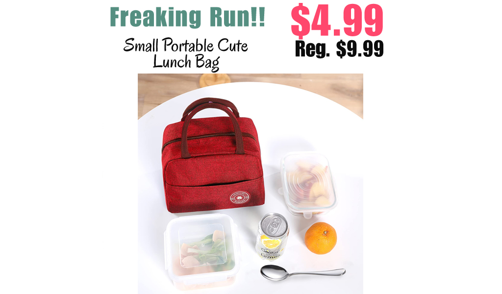 Small Portable Cute Lunch Bag Only $4.99 Shipped on Amazon (Regularly $9.99)