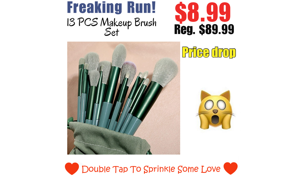 13 PCS Makeup Brush Set Only $8.99 Shipped on Amazon (Regularly $89.99)