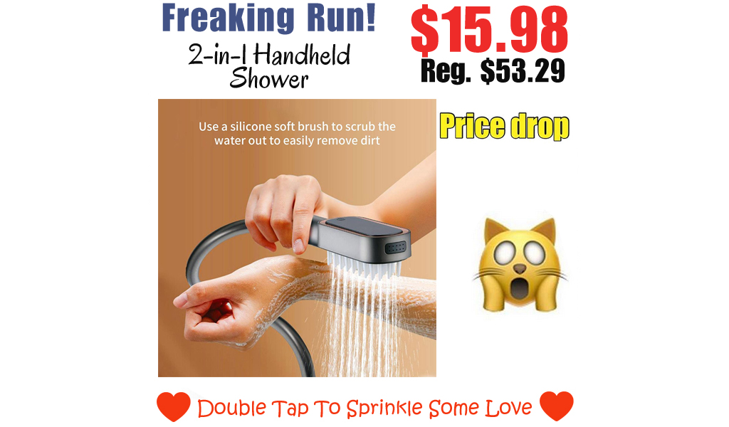2-in-1 Handheld Shower Only $15.98 Shipped on Amazon (Regularly $53.29)