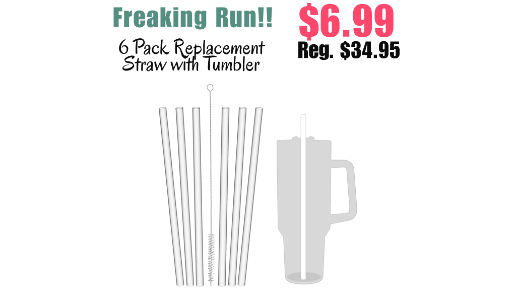 6 Pack Replacement Straw with Tumbler Only $6.99 Shipped on Amazon (Regularly $34.95)