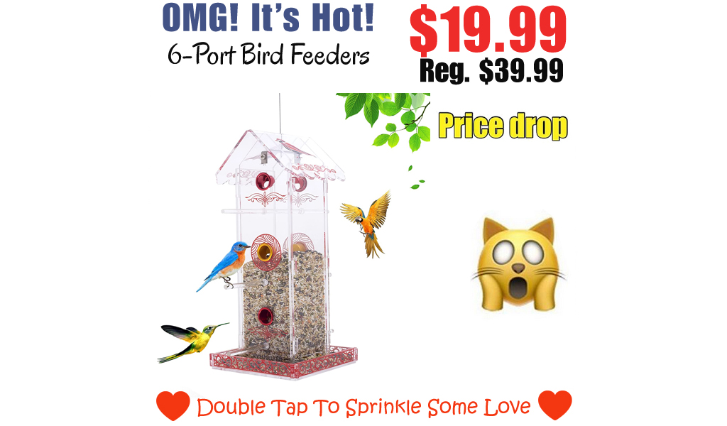 6-Port Bird Feeders Only $19.99 Shipped on Amazon (Regularly $39.99)
