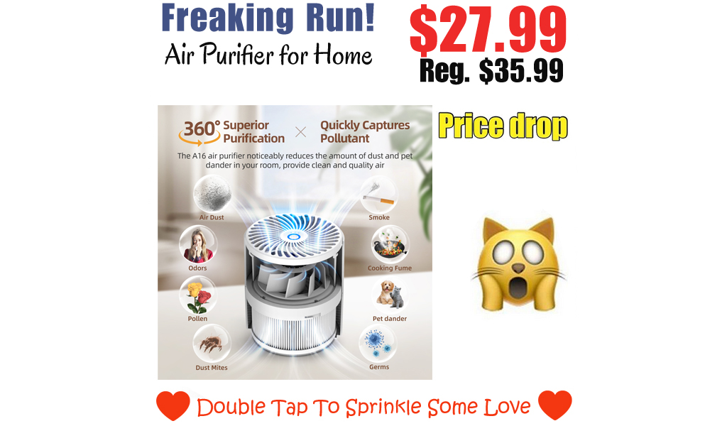 Air Purifier for Home Only $27.99 Shipped on Walmart.com (Regularly $35.99)