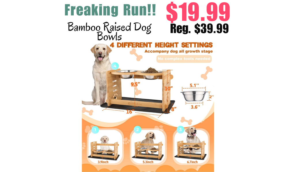 Bamboo Raised Dog Bowls Only $19.99 Shipped on Amazon (Regularly $39.99)