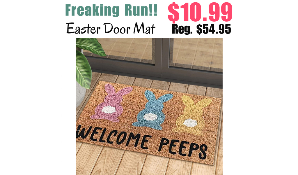 Easter Door Mat Only $10.99 Shipped on Amazon (Regularly $54.95)