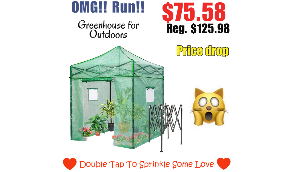 Greenhouse for Outdoors Only $75.58 Shipped on Amazon (Regularly $125.98)