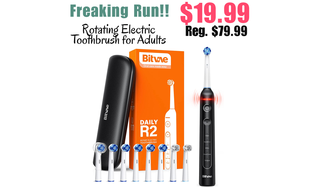 Rotating Electric Toothbrush for Adults Only $19.99 Shipped on Amazon (Regularly $79.99)