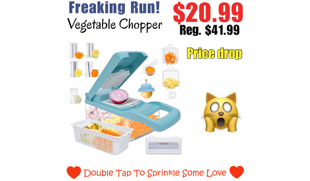 Vegetable Chopper Only $20.99 Shipped on Amazon (Regularly $41.99)