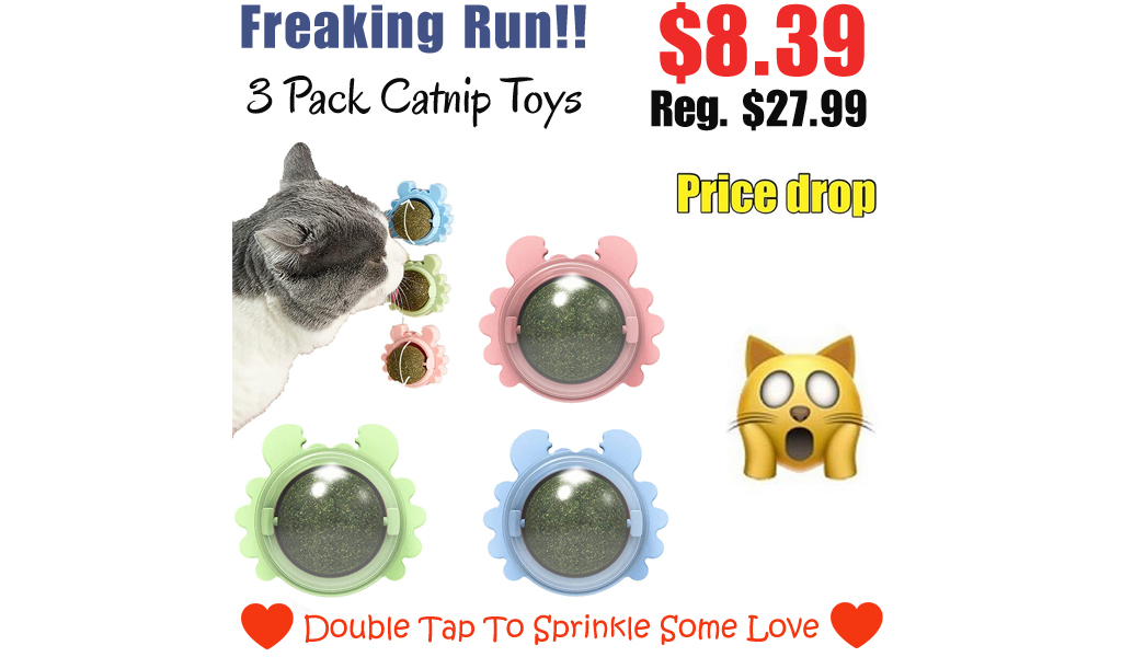 3 Pack Catnip Toys Only $8.39 Shipped on Amazon (Regularly $27.99)