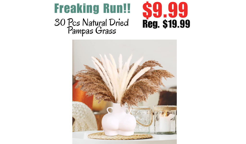 30 Pcs Natural Dried Pampas Grass Only $9.99 Shipped on Amazon (Regularly $19.99)
