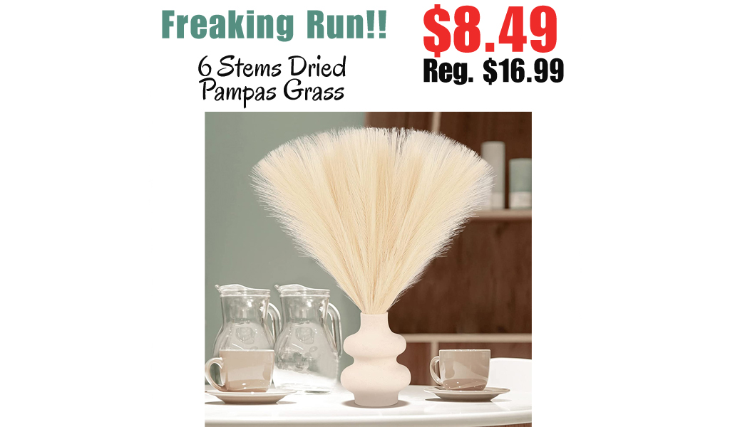 6 Stems Dried Pampas Grass Only $8.49 Shipped on Amazon (Regularly $16.99)