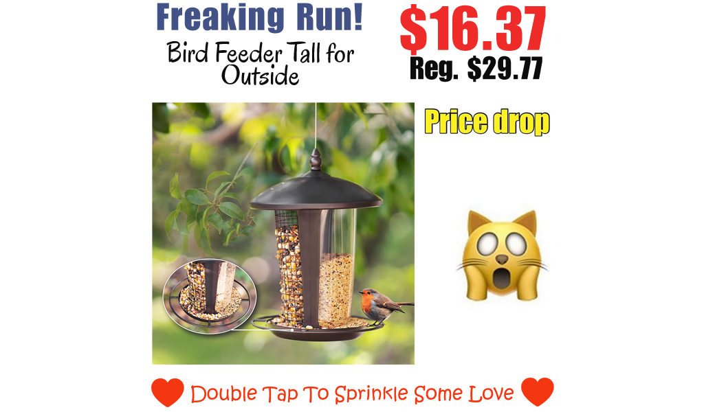 Bird Feeder Tall for Outside Only $16.37 Shipped on Amazon (Regularly $29.77)
