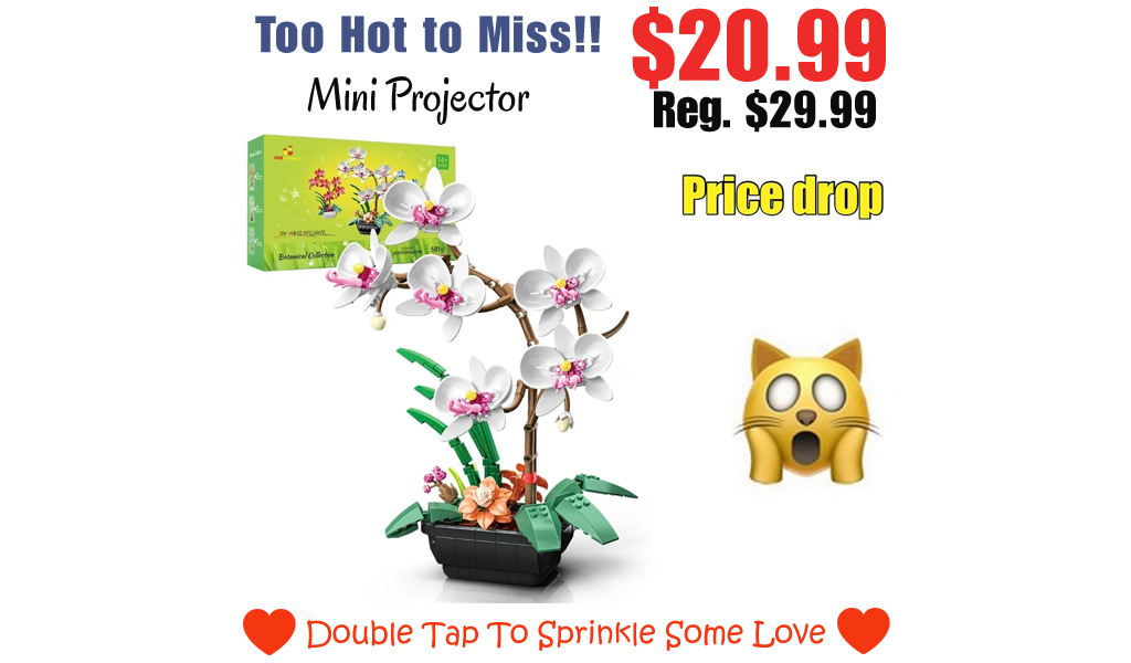 Butterfly Orchid Only $20.99 Shipped (Regularly $29.99)