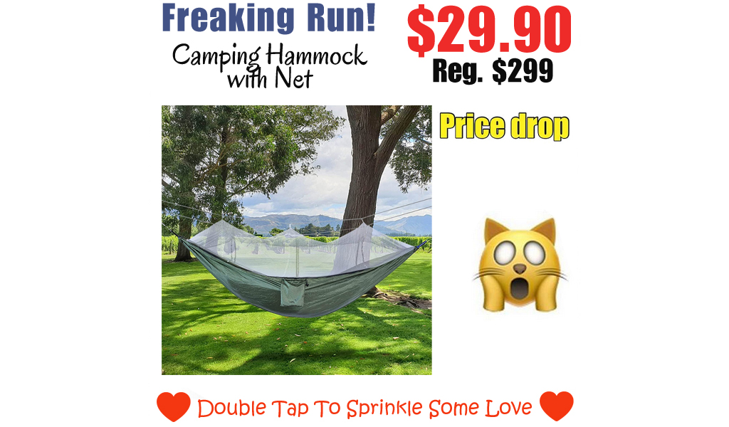 Camping Hammock with Net Only $29.90 Shipped on Amazon (Regularly $299)