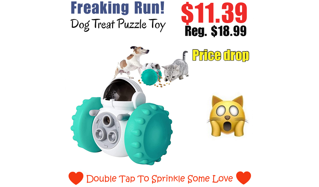 Dog Treat Puzzle Toy Only $11.39 Shipped on Amazon (Regularly $18.99)