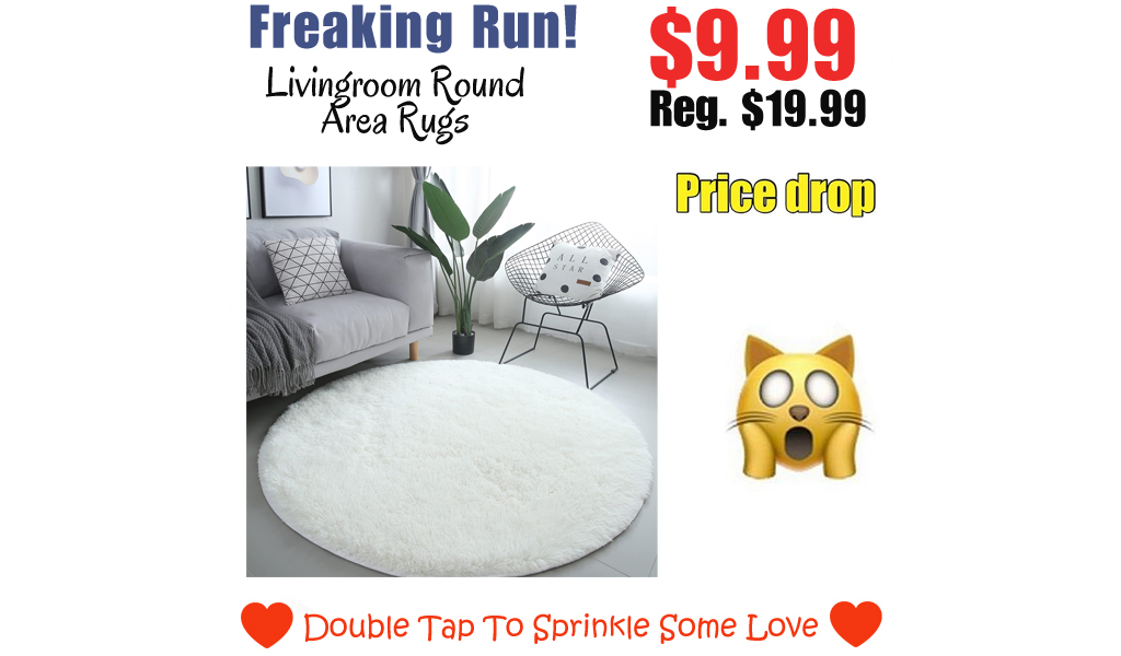Livingroom Round Area Rugs Only $9.99 Shipped on Amazon (Regularly $19.99)