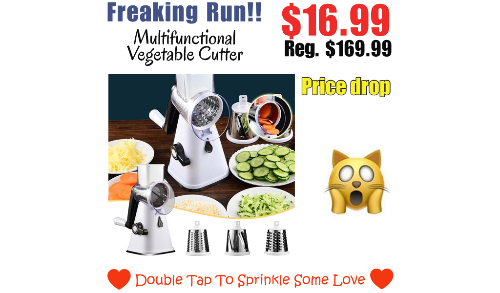 Multifunctional Vegetable Cutter Only $16.99 Shipped on Amazon (Regularly $169.99)