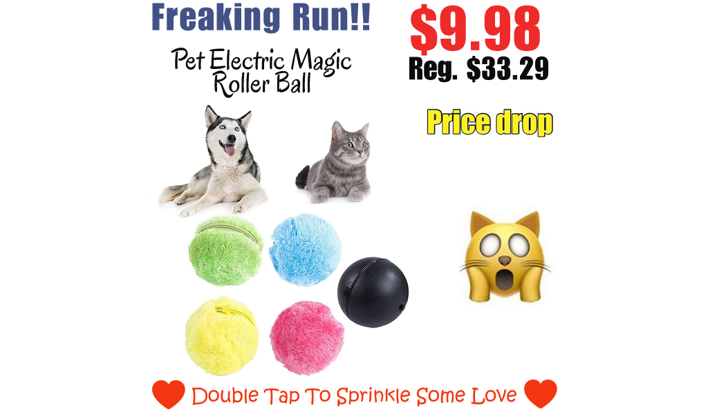 Pet Electric Magic Roller Ball Only $9.98 Shipped on Amazon (Regularly $33.29)