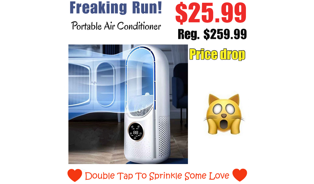 Portable Air Conditioner Only $25.99 Shipped on Amazon (Regularly $259.99)