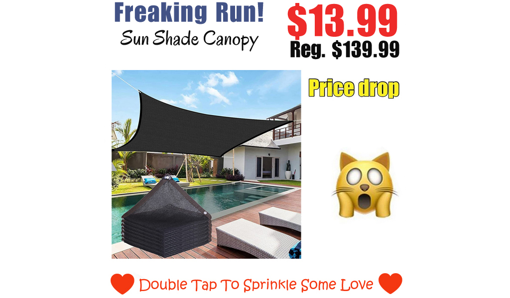 Sun Shade Canopy Only $13.99 Shipped on Amazon (Regularly $139.99)