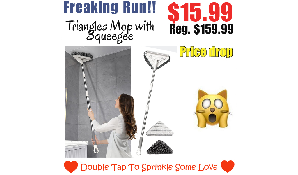 Triangles Mop with Squeegee Only $15.99 Shipped on Amazon (Regularly $159.99)