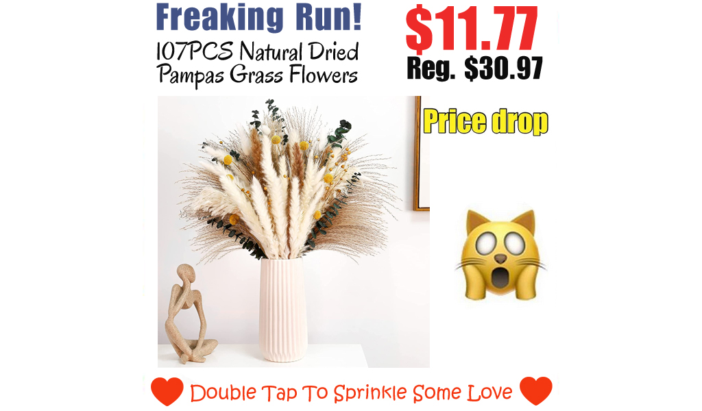 107PCS Natural Dried Pampas Grass Flowers Only $11.77 Shipped on Amazon (Regularly $30.97)