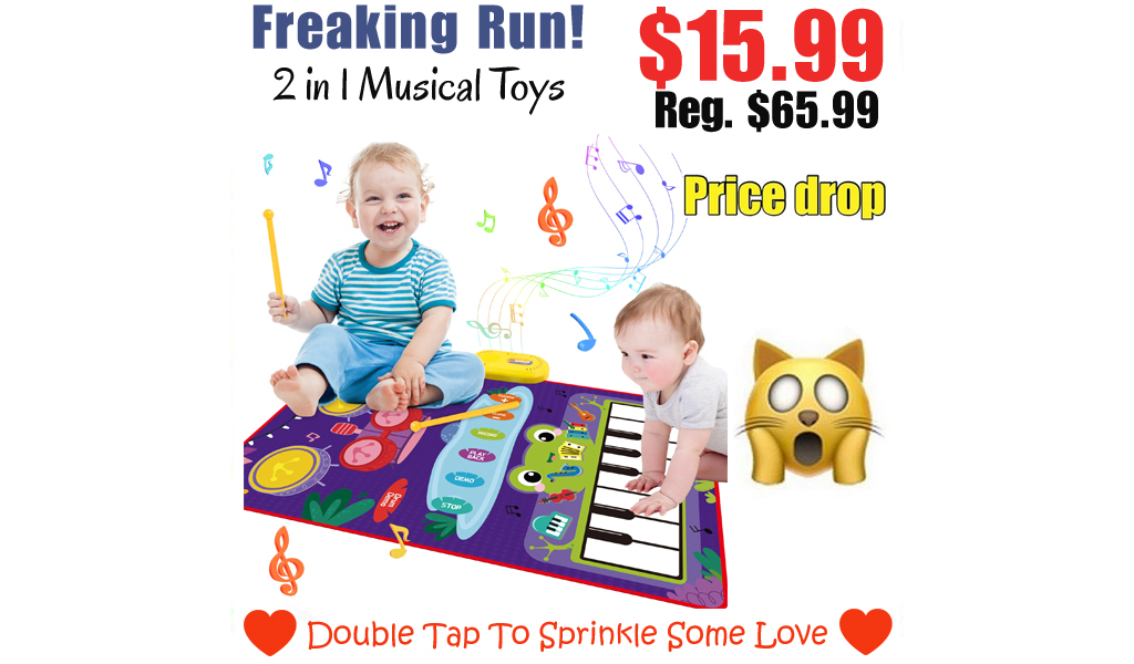2 in 1 Musical Toys Only $15.99 Shipped on Walmart.com (Regularly $65.99)