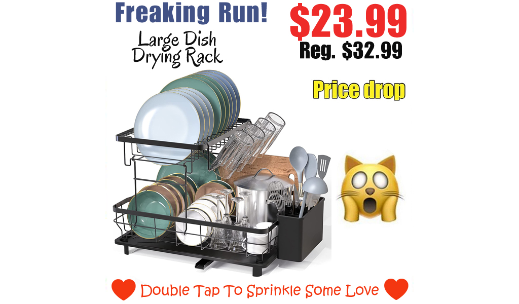 Large Dish Drying Rack Only $23.99 Shipped on Amazon (Regularly $32.99)