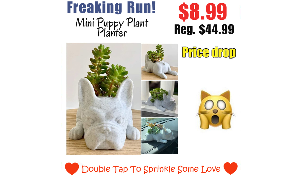 Mini Puppy Plant Planter Only $8.99 Shipped on Amazon (Regularly $44.99)