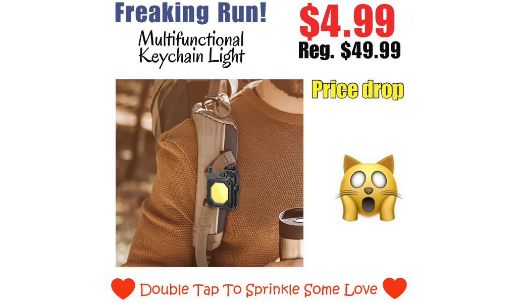 Multifunctional Keychain Light Only $4.99 Shipped on Amazon (Regularly $49.99)