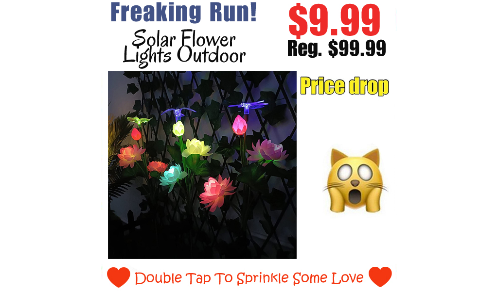 Solar Flower Lights Outdoor Only $9.99 Shipped on Amazon (Regularly $99.99)