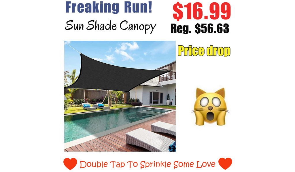 Sun Shade Canopy Only $16.99 Shipped on Amazon (Regularly $56.63)